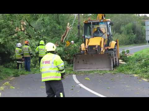 190918 Anglo Celt Video Tree Fallen on Belturbet to Ballyconnell Road by Sean McMahon MVI 6858