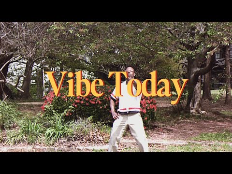 DJ Spinz, Johnny Apollo - Vibe Today (Official Video)