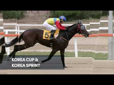 Introducing Korea Racing