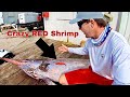 CRAZY RED SHRIMP turns swordfish orange! How to clean a 280 lb pumpkin swordfish!