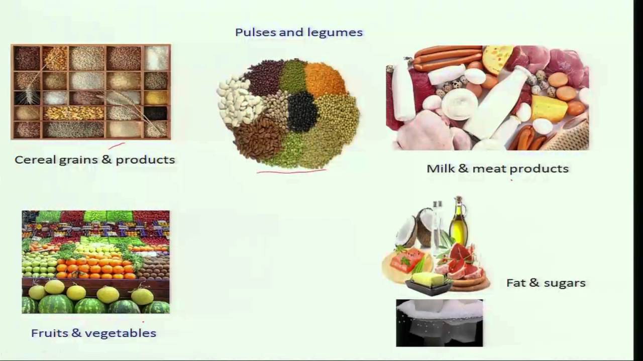 Balanced diet and food groups