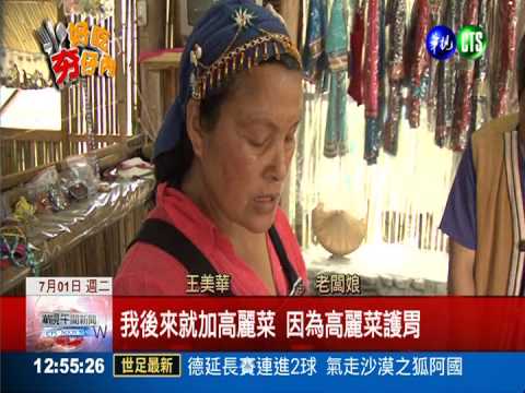 有機蔬菜水餃皮 野菜龍葵當餡料