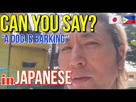 A Japanese teacher describes a typical Philippine life while teaching Japanese. The dog is barking.
