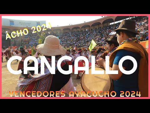 Carnaval de CANGALLO en los VENCEDORES DE AYACUCHO 2024: Lo mejor de los carnavales de Ayacucho