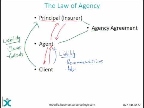 download lagu mp3 mp4 Insurance Agency System, download lagu Insurance Agency System gratis, unduh video klip Insurance Agency System