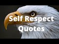 Self Respect Quotes Whatsapp Status Selfrespectquotes