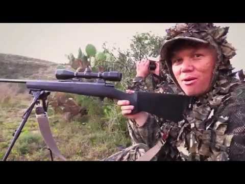 African Hunter Rowland Ward Duiker and nice Bushbuck