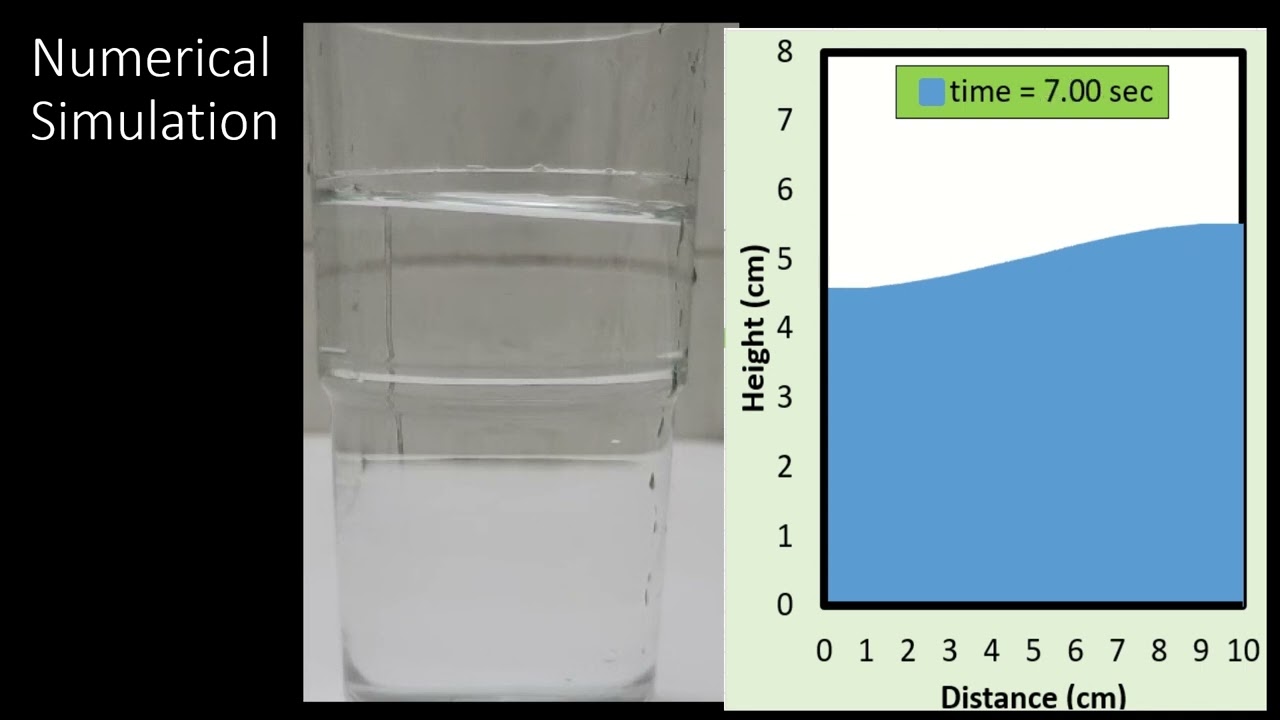 Simulation of Tank Sloshing Problem by Linearized Wave Equation with Damping