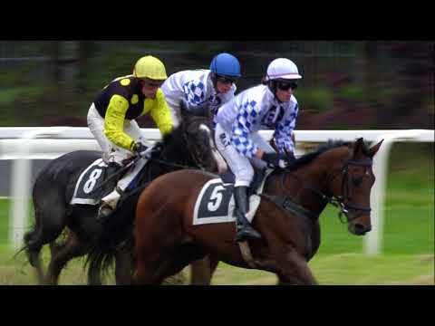 PE, 8. 10. 2017, 3. dostih - Cena portálu Česko země příběhů a Cena ČASCH