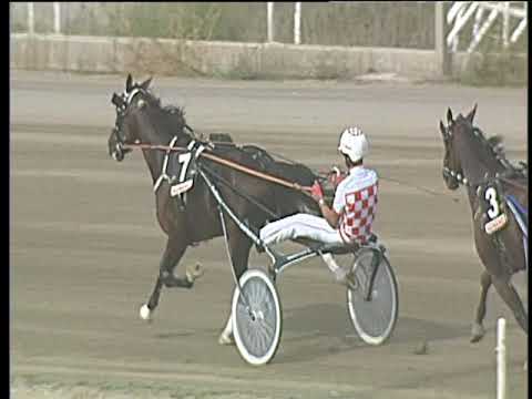 Trotto 08/09/2017 - 2ª corsa