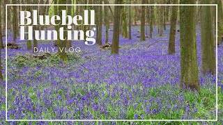 Daily Vlog // Bluebell Hunting in Ashridge Estate