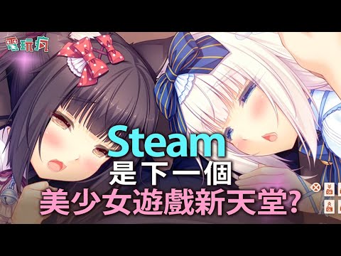 Steam 是否可成為美少女遊戲下一個烏托邦？