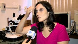 Miniatura do vídeo