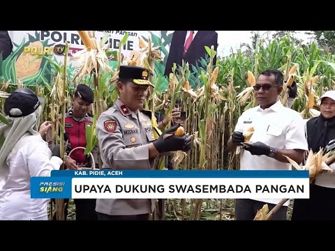 POLDA ACEH LAKUKAN PANEN RAYA JAGUNG TAHAP I BERSAMA 18 POLDA DI SELURUH INDONESIA