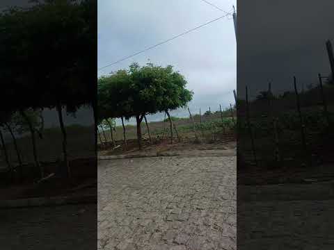 nova Cruz Rio Grande do Norte 20 de janeiro 2025