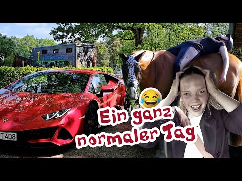 Beim Bullen laufen die Tränen - Ariane fordert mich im Springreiten heraus | Pferdealltag