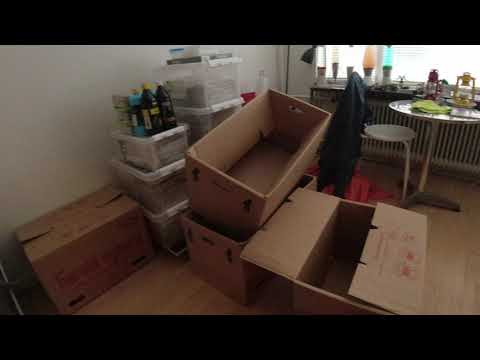 MongoTV_11000 - MIN NYE LEJLIGHED - Del 30 - Jeg Skal Genhuses og Flytte Snart