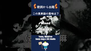 #和訳 #英単語 #英語学習 #snoopdogg #wizkhalifa #youngwildfree #brunomars #聞き流し #英単語クイズ
