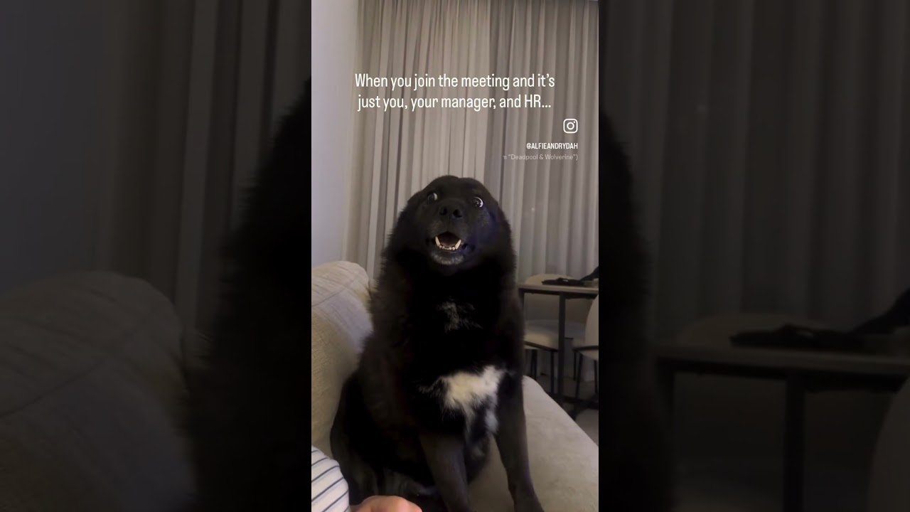 So…am I in trouble?!? 🥶