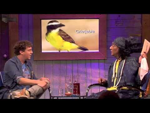 zo:RAYMANN - Tante Es - Jochem Myjer