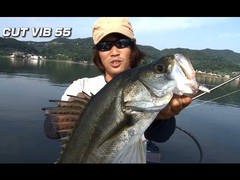 Megabass CutVib 55 5.5cm 10g GG Iwashi S