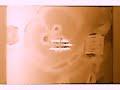 Klaskyklaskyklaskyklasky Gummy Bear Effects Sponsored By Preview 2 Effects In G Major 72