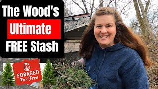 RUSTIC CHRISTMAS DECOR! WOODLAND FORAGING FOR THE BEST FREE DECORATIONS