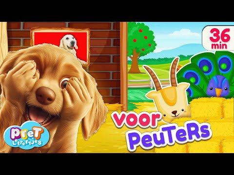 Wie Zit Daar Verstopt? Boerderijdieren, Groenten en Fruit, Dierentuin Dieren | Educatieve Filmpjes