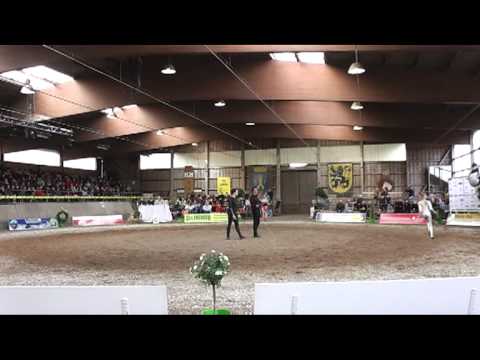 Ecuries de la Cigogne VTS 2012 Leonberg