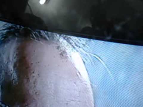 Deu formiga no Display da TV. Formigas residindo no interior do LCD!