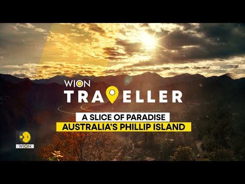 A slice of paradise: Australia’s Phillip Island | WION Traveller