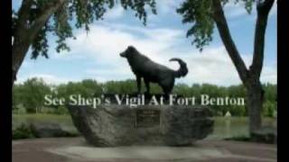 preview picture of video 'Shep - Fort Benton, Montana's Famous Dog'