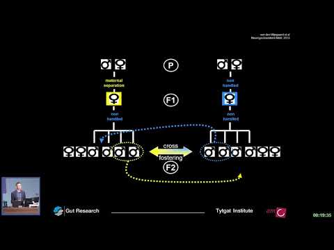 Genetics and epigenetics of the stress response by Rene van den Wijngaard