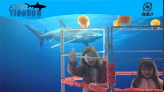 DIA 3 Expo Tiburon187