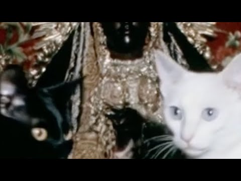 CHRIZ AMAYA - donde no duele