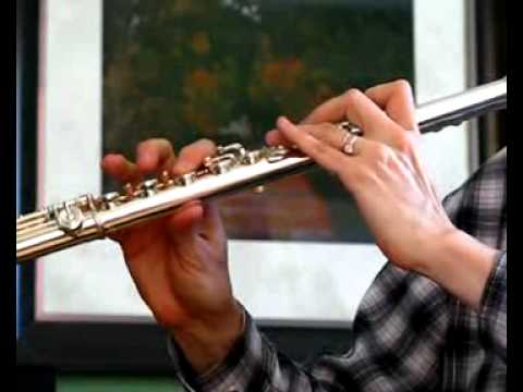 Yamaha 684HVVCT Used Flute for Sale - Heavy Wall/C# Trill - Demo 2 - Mid-Low Range