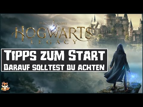 Hogwarts Legacy darauf solltest du achten & Tipps zum Start | mach das nicht falsch