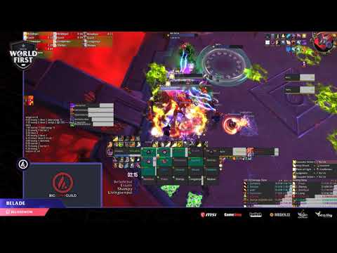 Big Dumb Guild vs Mythic Hivemind - Holy Pally POV