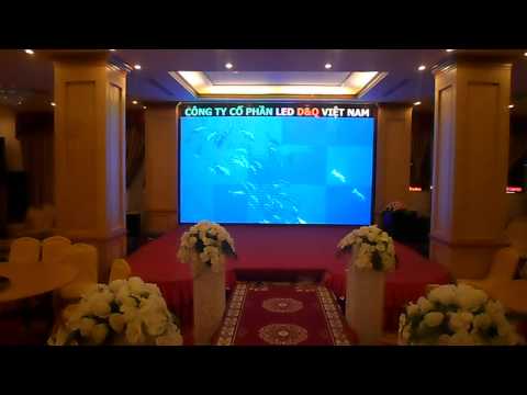 Video dự án