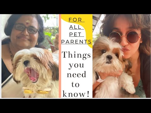 For all Pet Parents |Things you need to know | Ranjini Haridas Vlogs