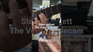 Steve Hackett - The Voice of Necam (guitar cover)