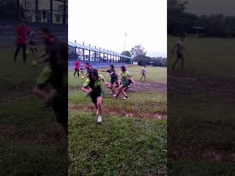 Curillo, Caquetá nuiodes