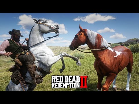 EM BUSCA DO MUSTANGUE, vamos domar cavalos - O Domador de Cavalos - Red Dead Redemption 2