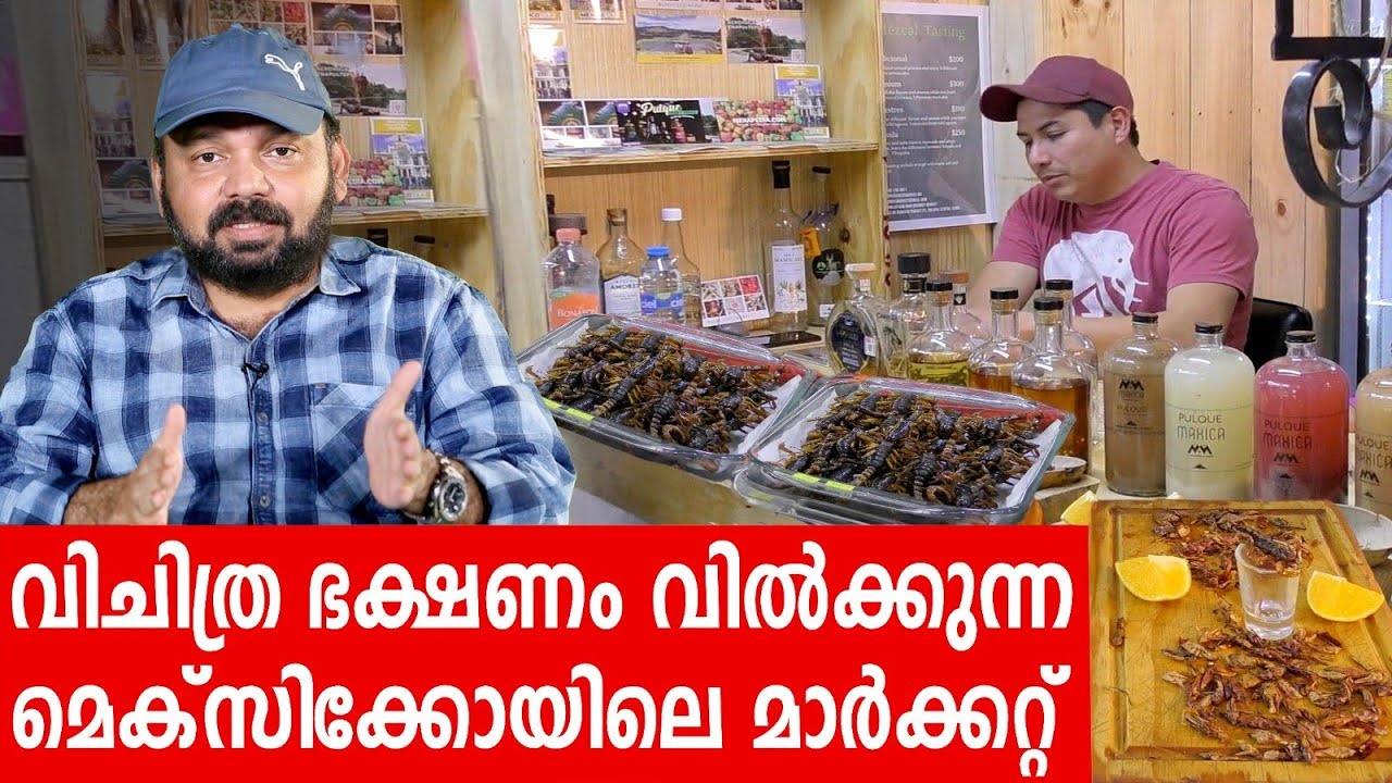 Sancharam | Mexico 06 | Santhosh George Kulangara | Safari TV