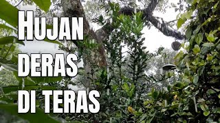 NIKMATI KEDAMAIAN, HUJAN DERAS MENYEMBUHKAN SETIAP LUKA