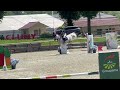 Ruin Franse rijpony PFS Te koop 2016 Schimmel