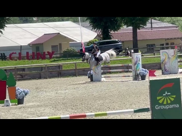 Ruin Franse rijpony PFS Te koop 2016 Schimmel