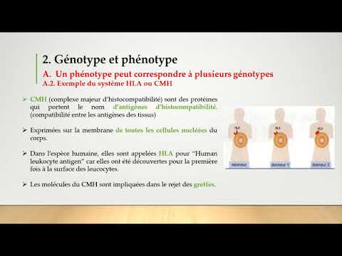 Bac S- Chap4- Activité 3: Génotype-Système CMH