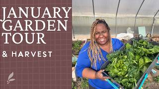 What's Growing in My January Garden