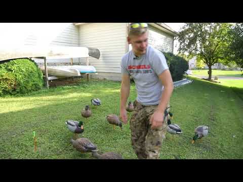 Avian X Field Decoy Review